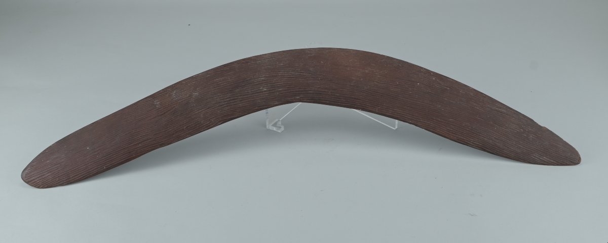 Boomerang aborigène — Australie,  région du désert central, début du XXe siècle