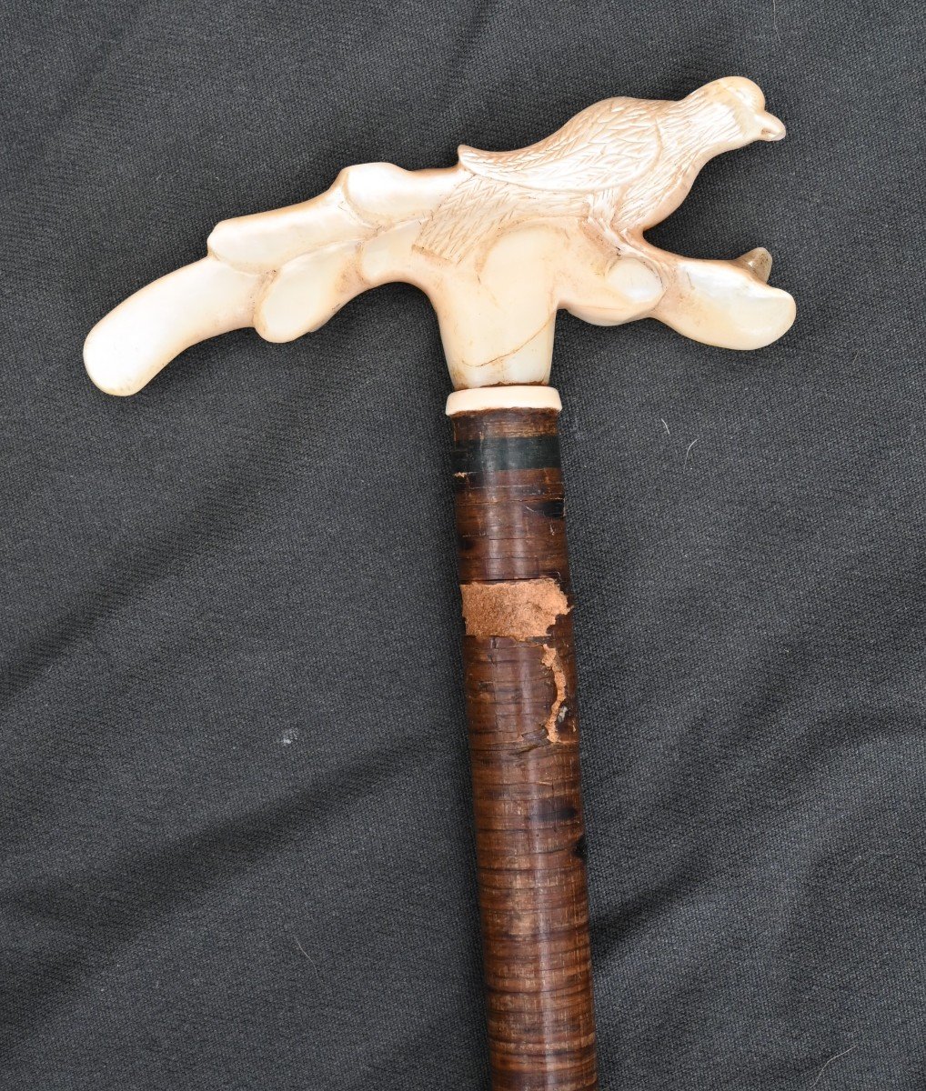 Cane With Carved Handle In Mother Of Pearl-photo-2