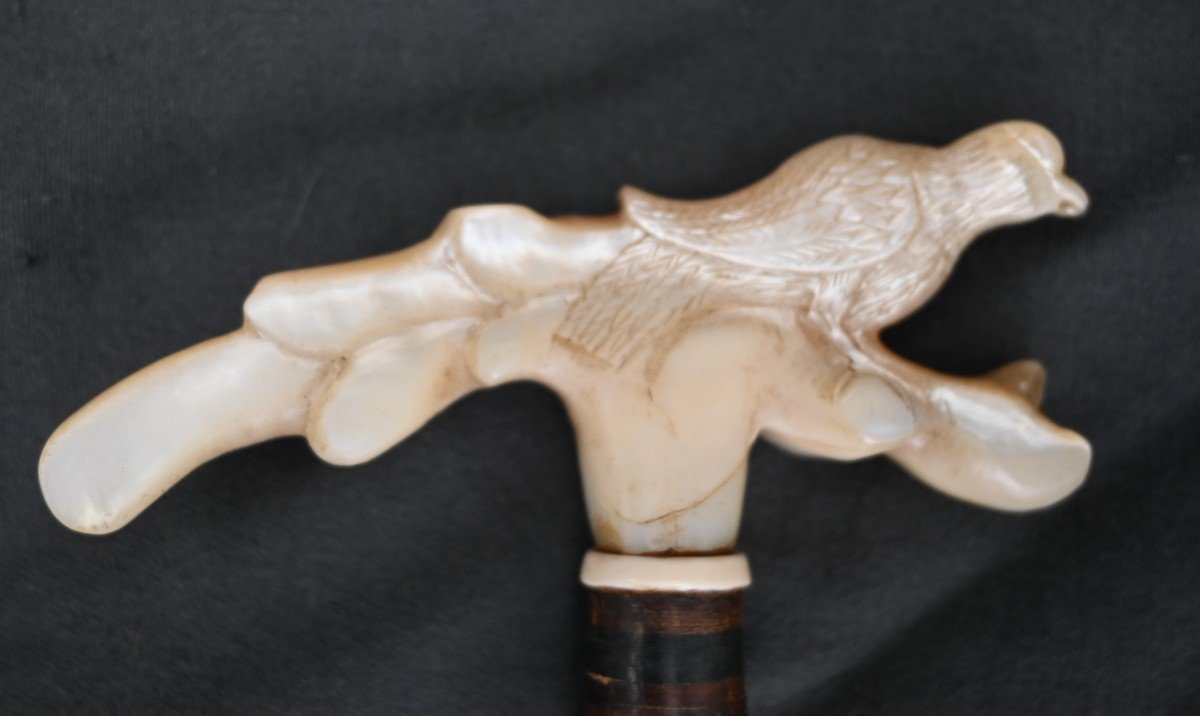 Cane With Carved Handle In Mother Of Pearl-photo-3