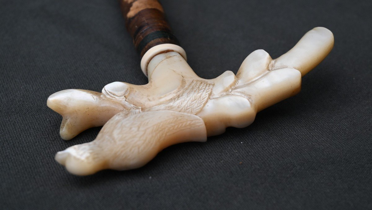 Cane With Carved Handle In Mother Of Pearl-photo-4