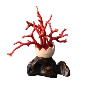 Mediterranean Red Coral Branch Mounted On A Base