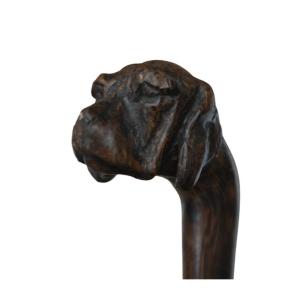 Canne ancienne sculptée à tête de chien, vers 1900