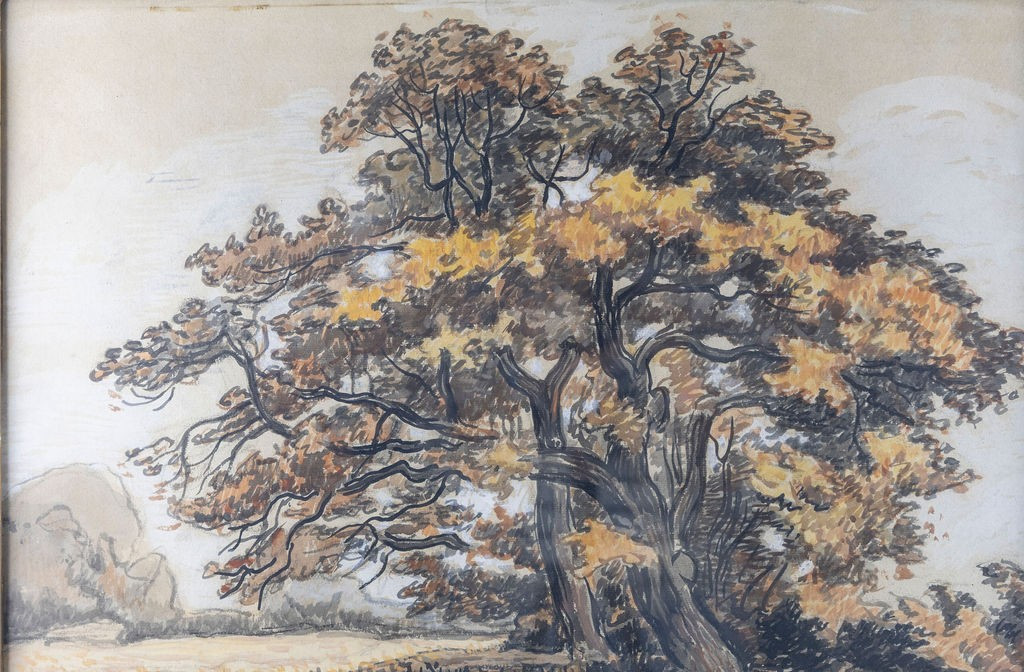 Jean Peské 1870 -1949  Arbres Encre et aquarelle, signé en bas à gauche-photo-2
