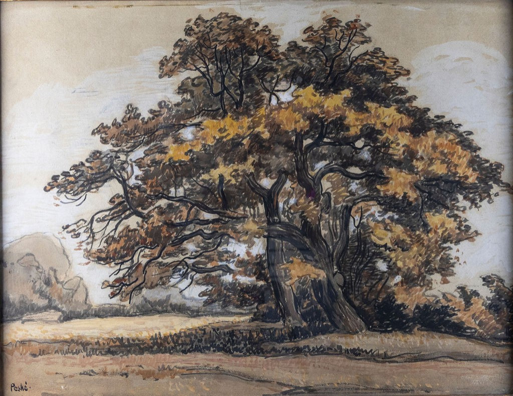 Jean Peské 1870 -1949  Arbres Encre et aquarelle, signé en bas à gauche