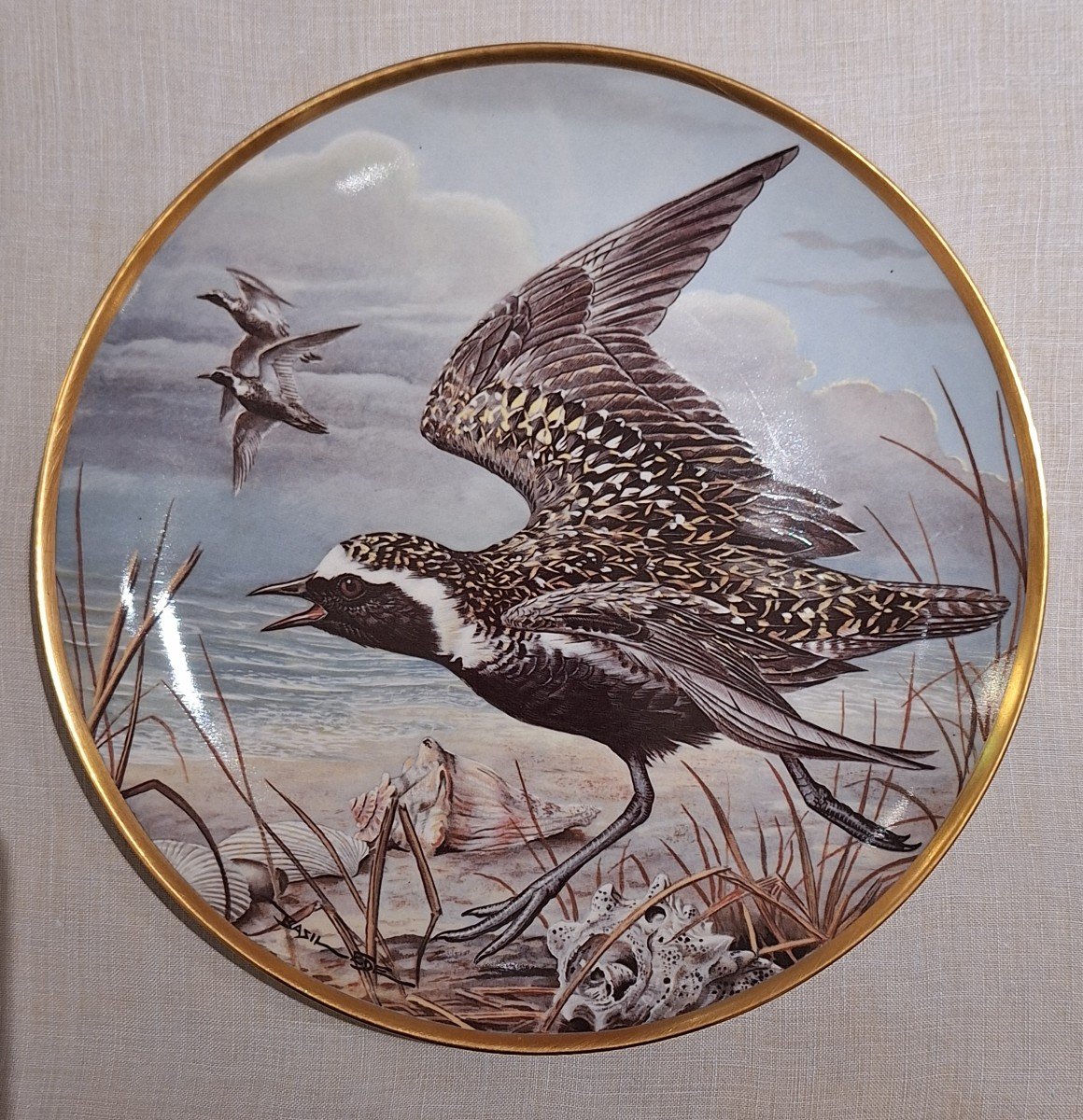 Waterbirds Of The World Plates In Haviland Porcelain By Haviland Limoges-photo-3