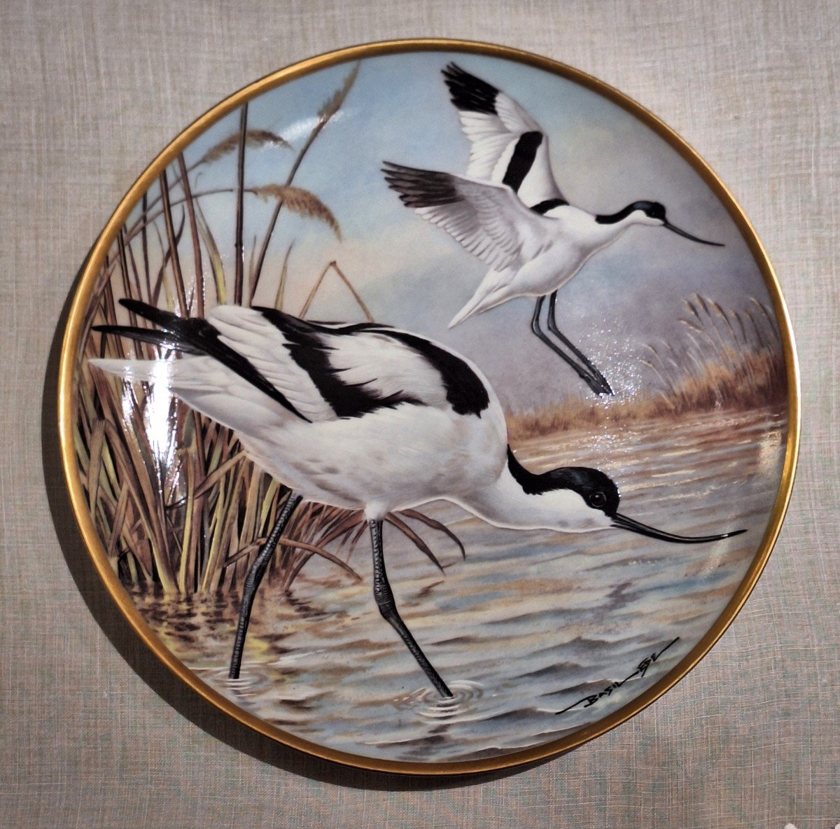 Waterbirds Of The World Plates In Haviland Porcelain By Haviland Limoges-photo-6