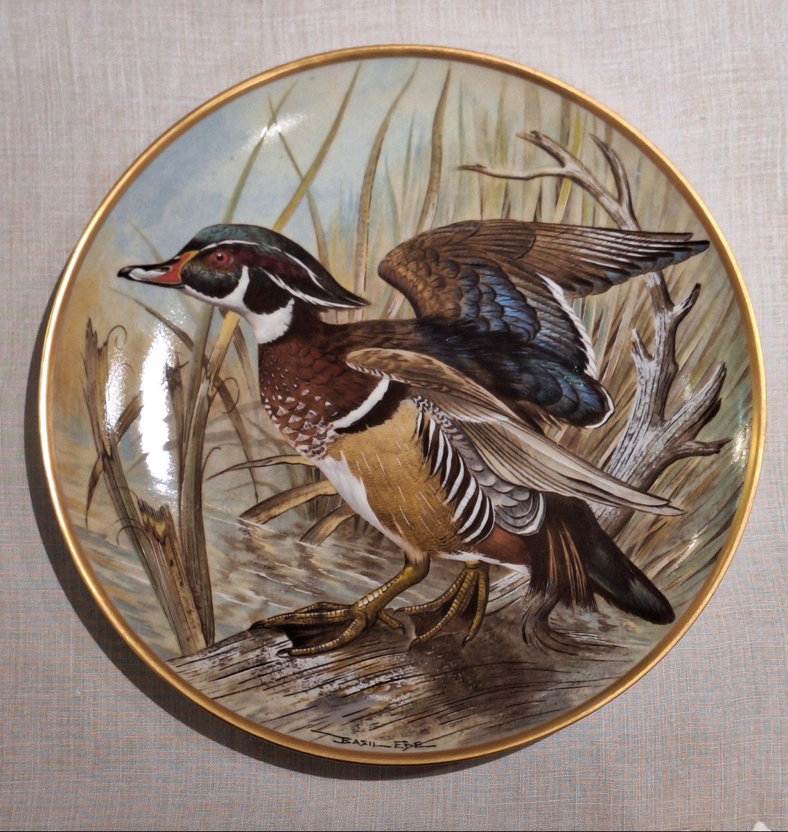Waterbirds Of The World Plates In Haviland Porcelain By Haviland Limoges-photo-7