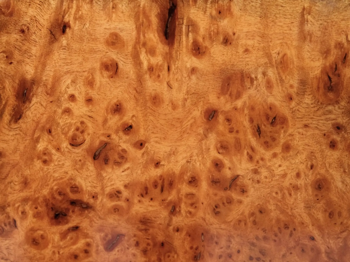 Black Lacquered Shelf With Walnut Fronts-photo-3