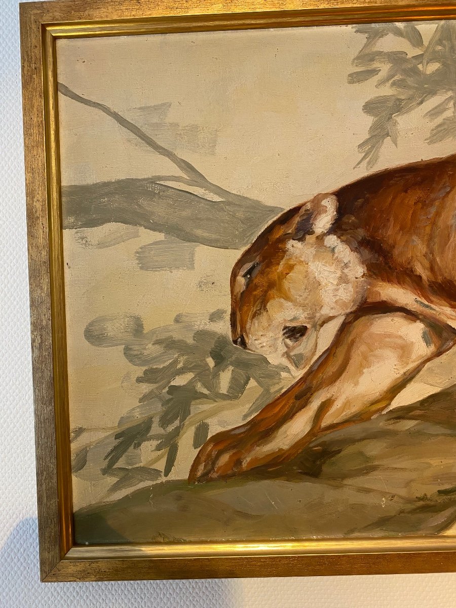 Lioness- Oil On Wood- Jakuber- Art Deco-photo-4