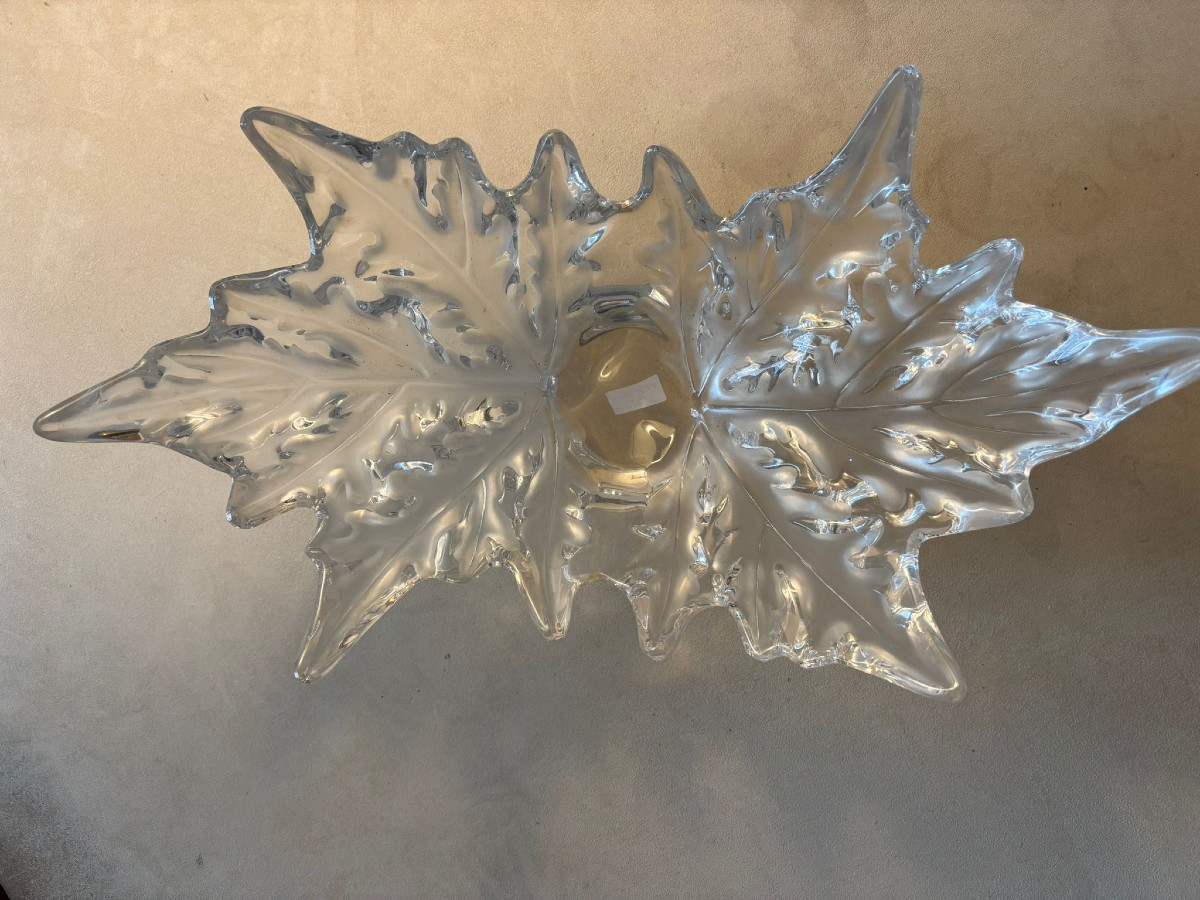 Coupe Lalique Champs-Elysée verre incolore  à décor de feuilles de platanes-photo-3