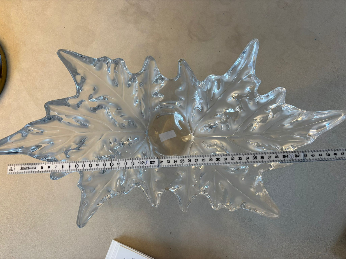 Coupe Lalique Champs-Elysée verre incolore  à décor de feuilles de platanes-photo-4