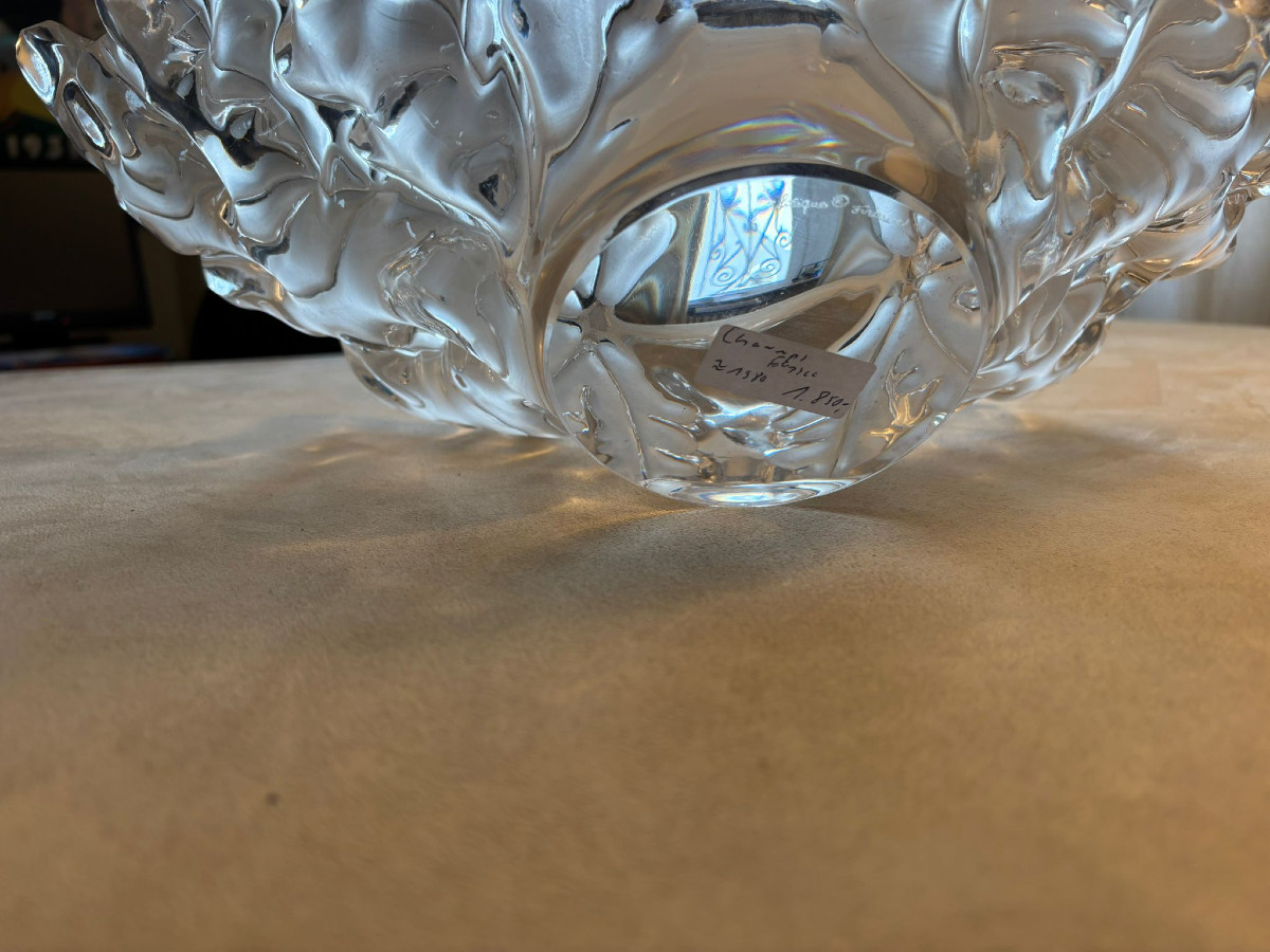 Coupe Lalique Champs-Elysée verre incolore  à décor de feuilles de platanes-photo-1