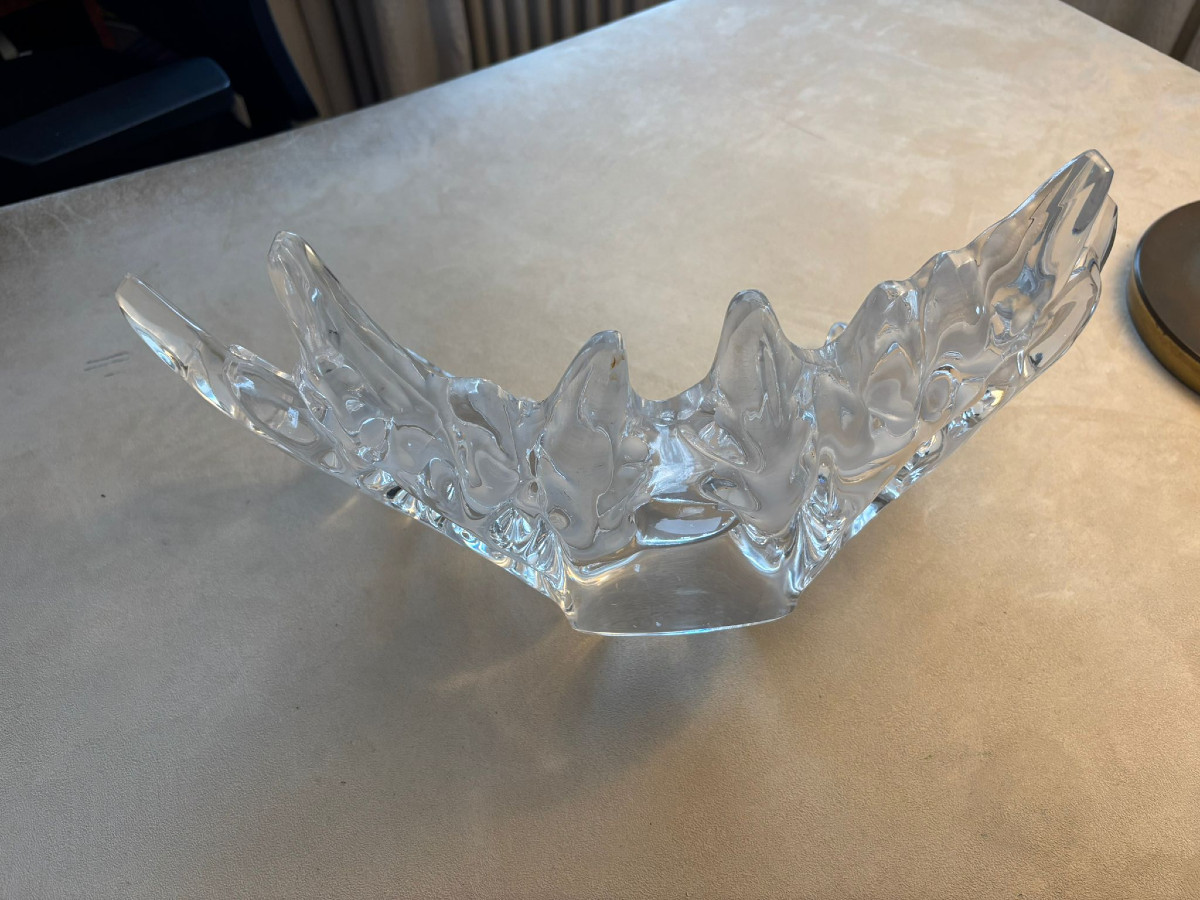 Coupe Lalique Champs-Elysée verre incolore  à décor de feuilles de platanes
