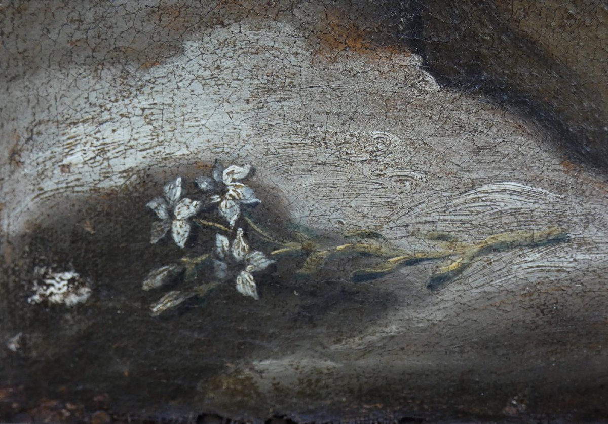 GRANDE PEINTURE BIBLIQUE XVIIe...VISION DE ST-ANTOINE DE PADOUE...MURILLO & L'ÉCOLE ESPAGNOLE ?-photo-5