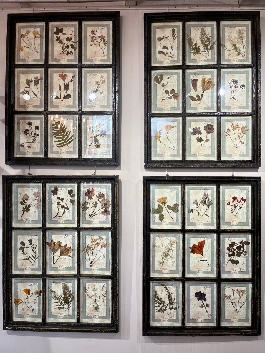 Rare Set Of 10  Herbarium Plates - Dated 1913 - Italy. Florence