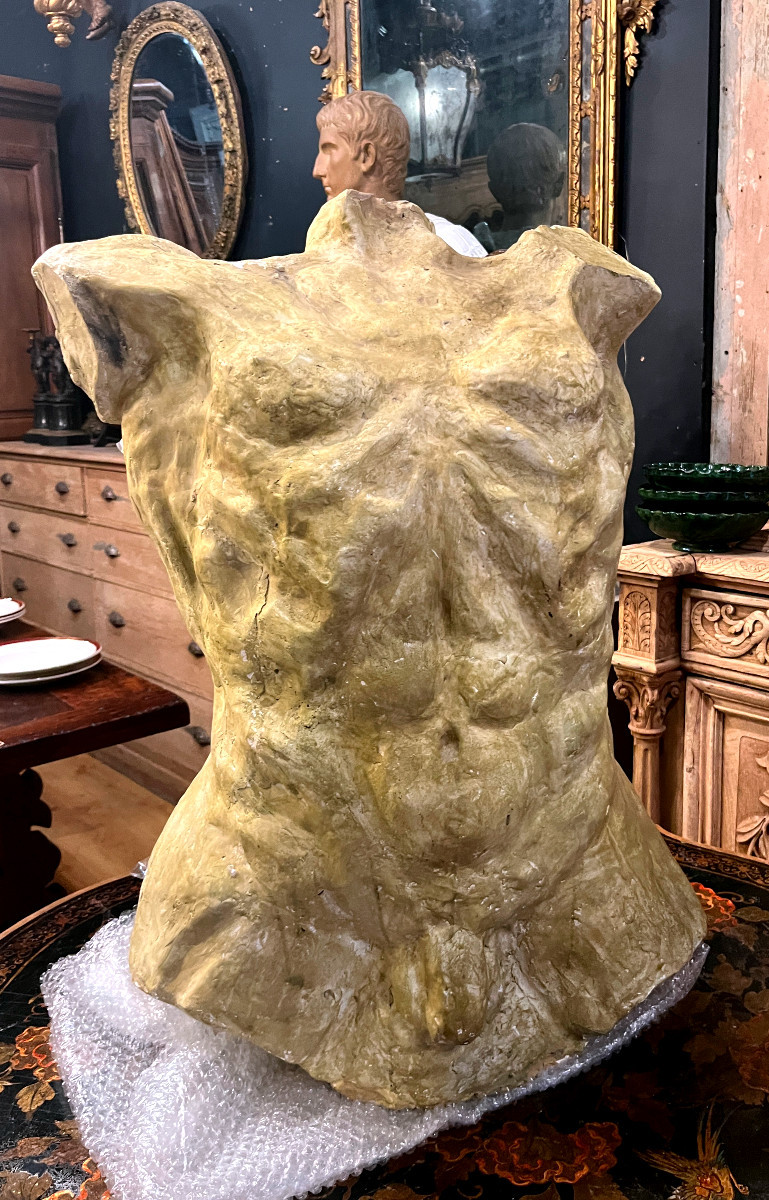 Sculpture - torse d'homme dans le goût de la grèce Antique - 20ème Siècle-photo-1