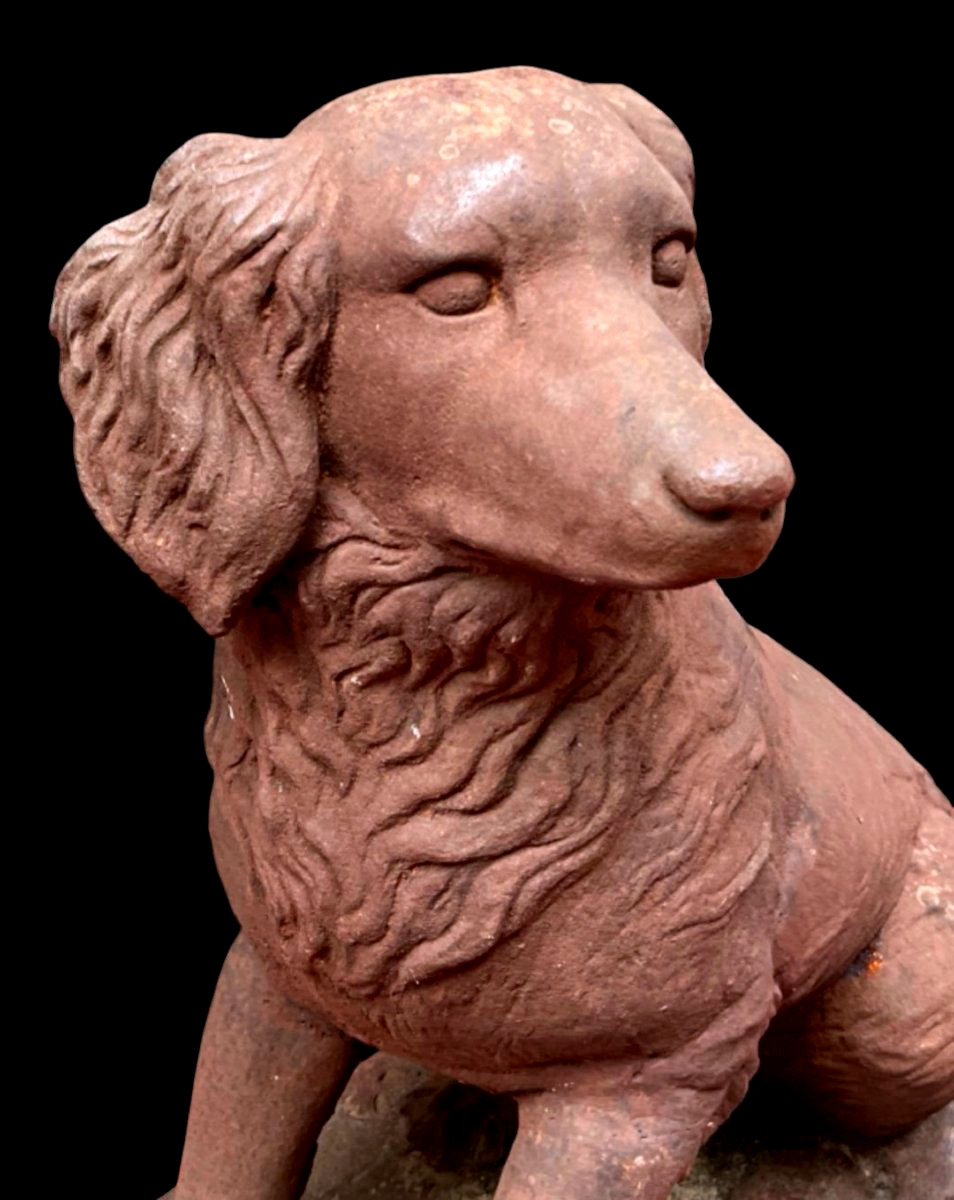 Sculptures animalières en fonte- Paire de chiens Golden Retrievers Epoque 1900-photo-4