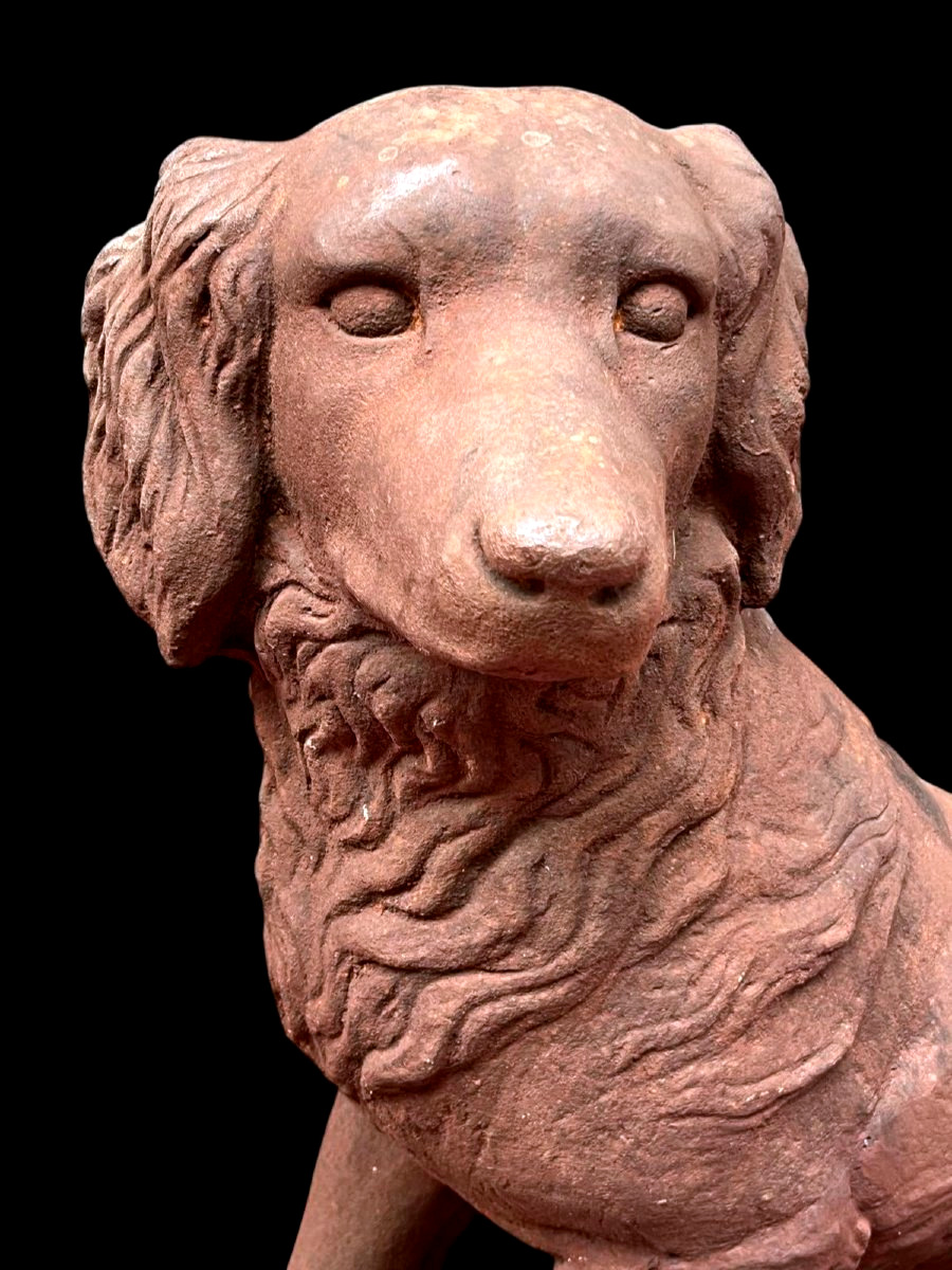 Sculptures animalières en fonte- Paire de chiens Golden Retrievers Epoque 1900-photo-6