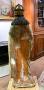 1240736-alb-656cd1b2bbfb9.jpg