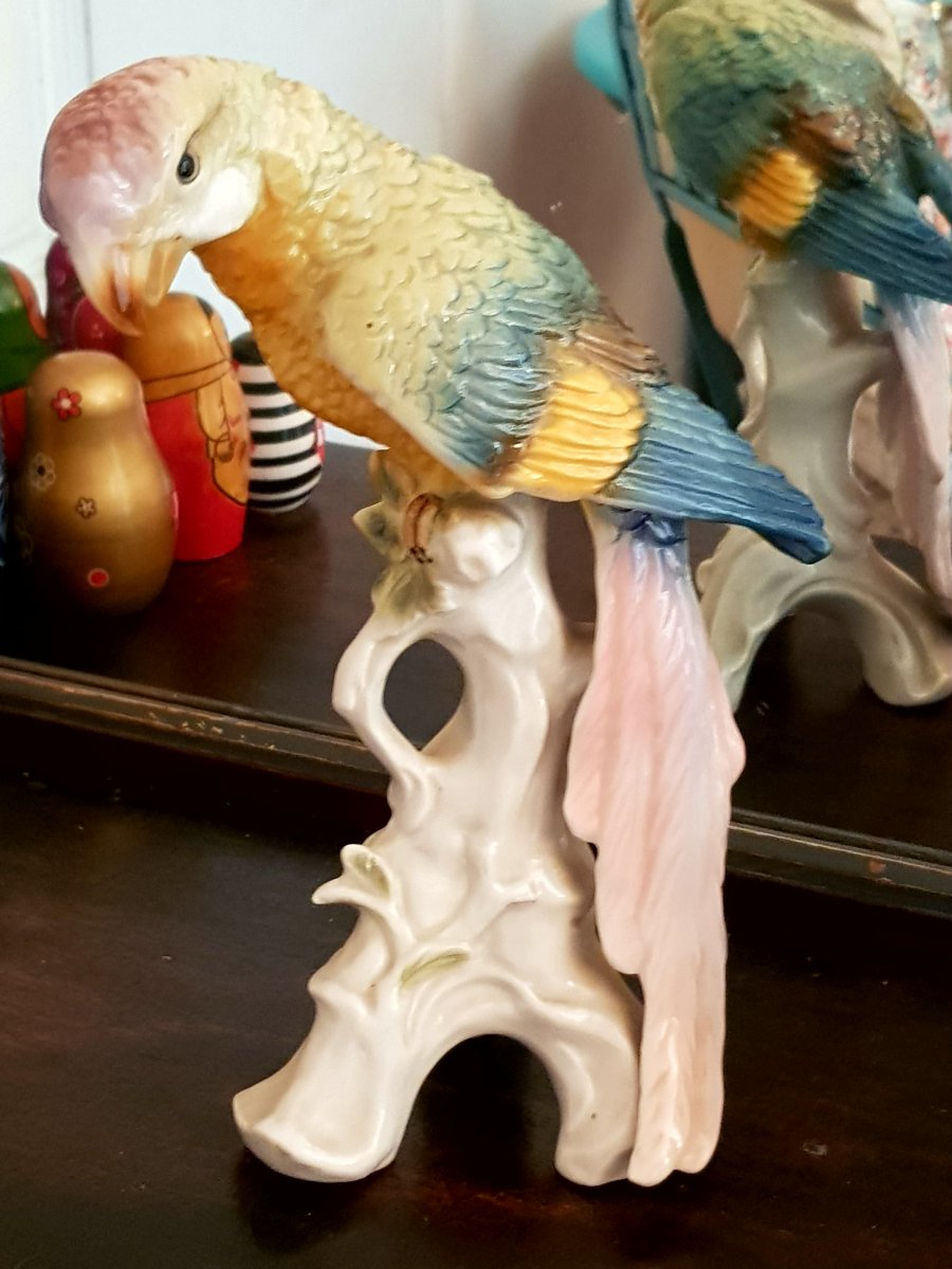 Large Saxe Porcelain Parrot-photo-2