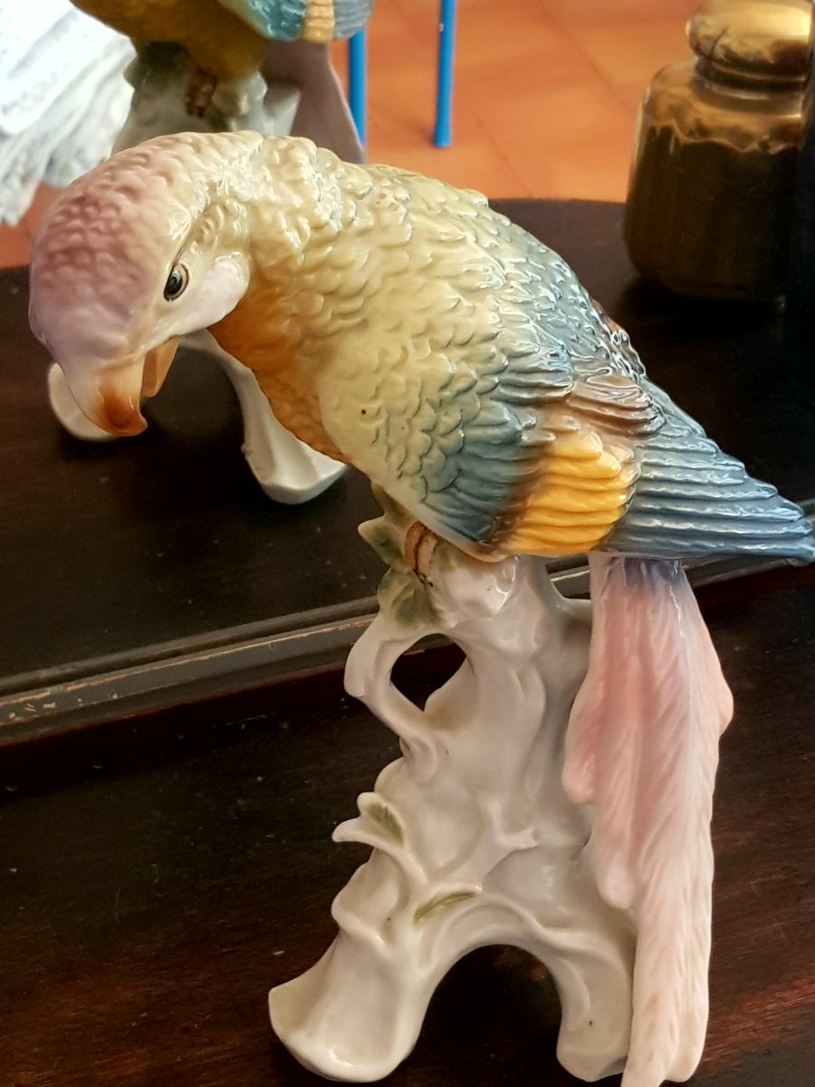 Large Saxe Porcelain Parrot-photo-2