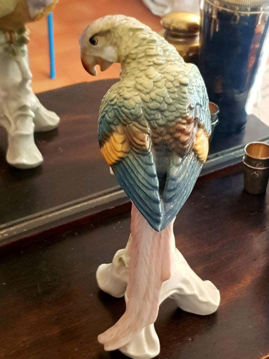 Large Saxe Porcelain Parrot-photo-3
