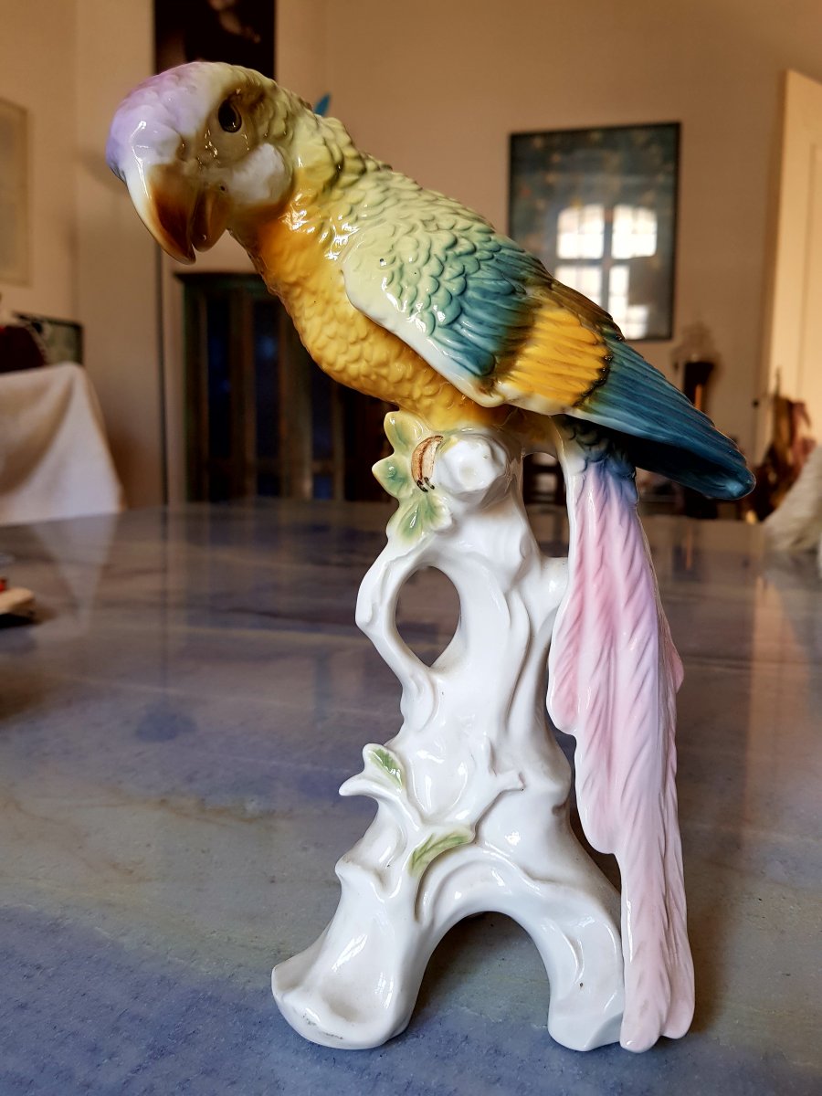 Large Saxe Porcelain Parrot