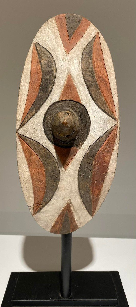 Tutsi Shield - Rwanda - African Art - Late 19th - Early 20th Century - Perfect Condition-photo-2