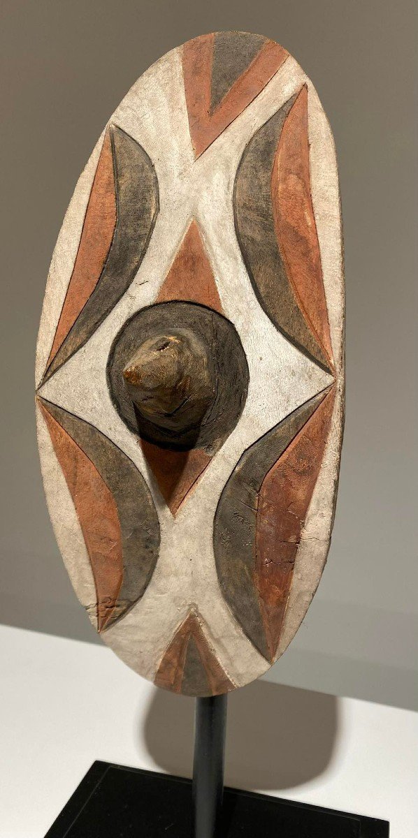 Tutsi Shield - Rwanda - African Art - Late 19th - Early 20th Century - Perfect Condition