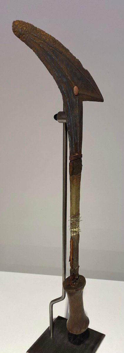 Old And Exceptional Throwing Knife From The Gbaya / Bumali / Njem Tribe Ca1880 Africa Congo-photo-8