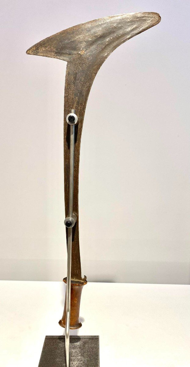 Old Exceptional Throwing Knife From The Gbaya Njem Tribe Ca1880 Central Central Africa Congo-photo-1