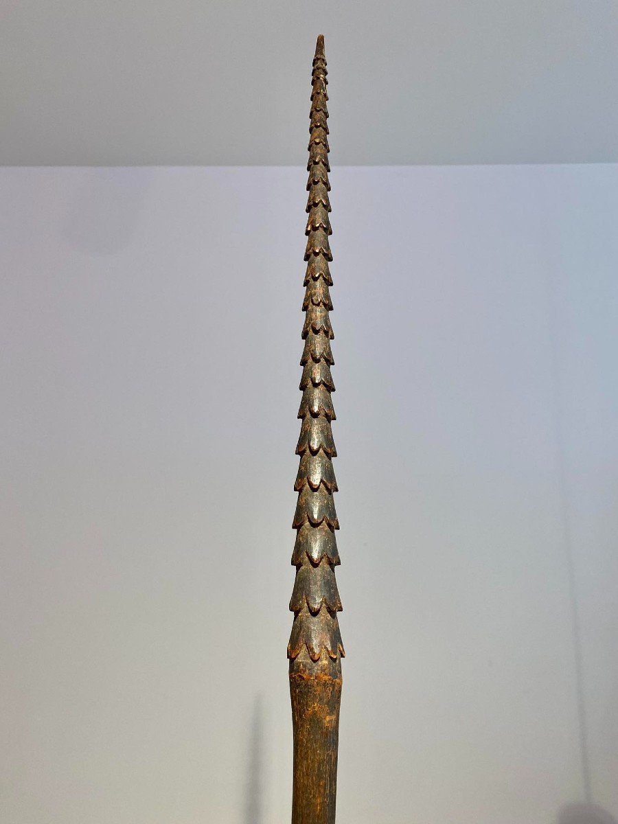 Ancienne Lance Iles Fidji - Samoa - Tonga - Art Océanie Mélanésie 19ème Siècle 220 Cm Longueur -photo-2