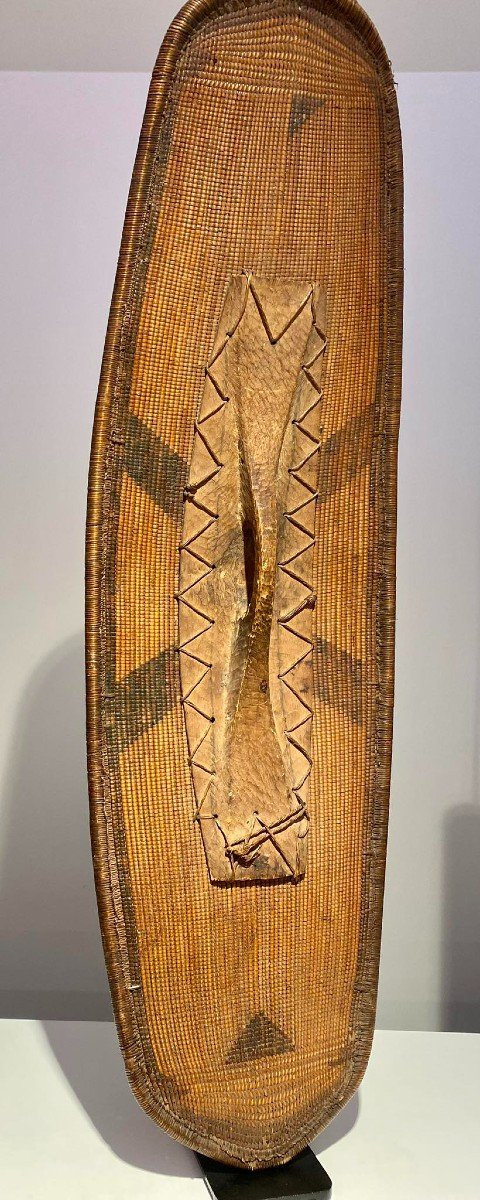Shield Ngombe Doko Tribe - Ubangi - Dr Congo - 19th Century - Museum Quality-photo-1