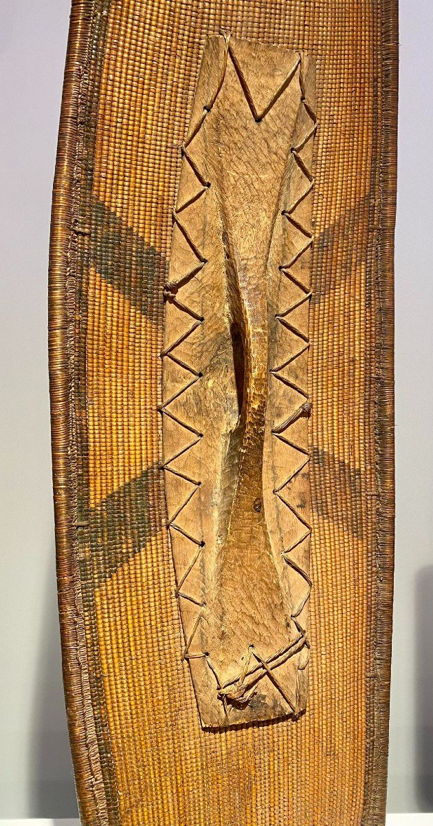Shield Ngombe Doko Tribe - Ubangi - Dr Congo - 19th Century - Museum Quality-photo-2