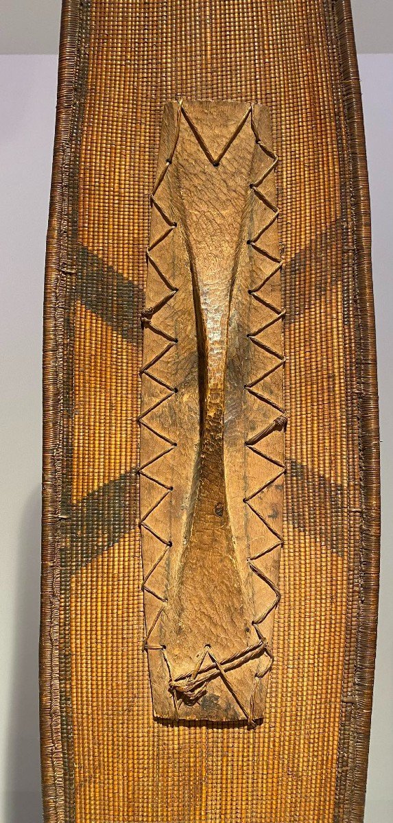 Shield Ngombe Doko Tribe - Ubangi - Dr Congo - 19th Century - Museum Quality-photo-4