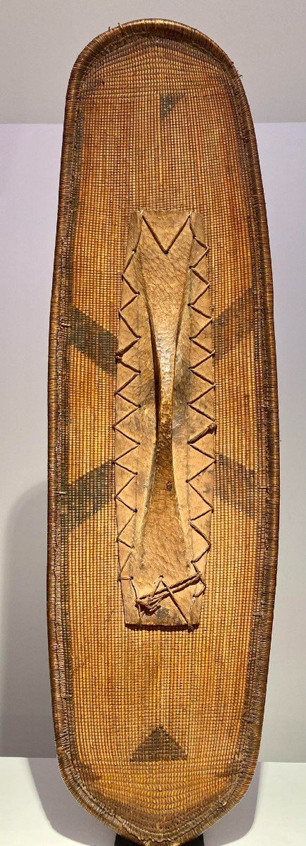 Shield Ngombe Doko Tribe - Ubangi - Dr Congo - 19th Century - Museum Quality-photo-5