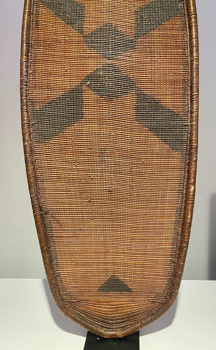 Shield Ngombe Doko Tribe - Ubangi - Dr Congo - 19th Century - Museum Quality-photo-8