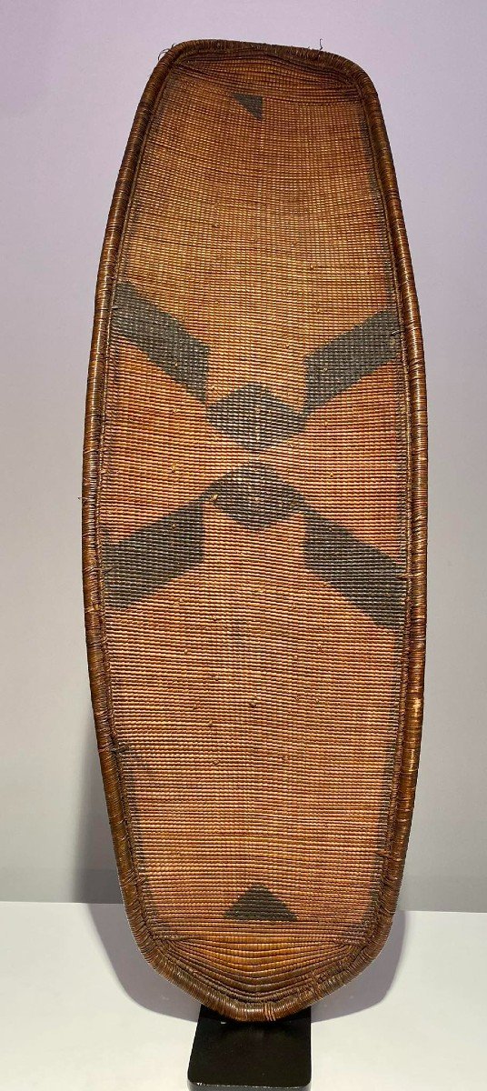 Shield Ngombe Doko Tribe - Ubangi - Dr Congo - 19th Century - Museum Quality