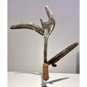 Ancien Et Exceptionnel Couteau De Jet Kipinga Tribu Nsakara Bandia Zande Avungara Congo -1880
