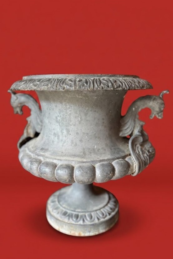 Medici -photo-3