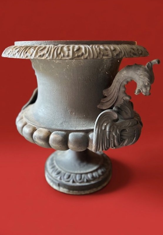 Medici -photo-4