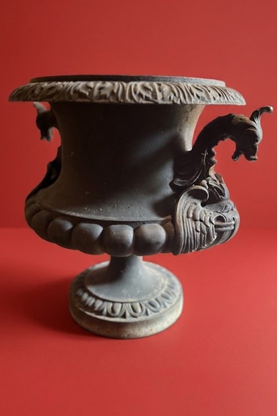 Medici -photo-1