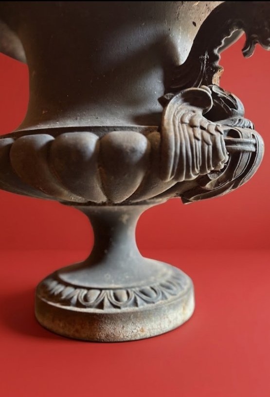 Medici -photo-3