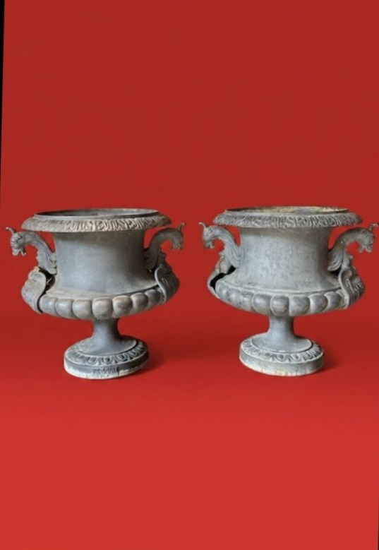 Medici 