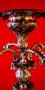 1837689-6ace57461e9f5.jpg