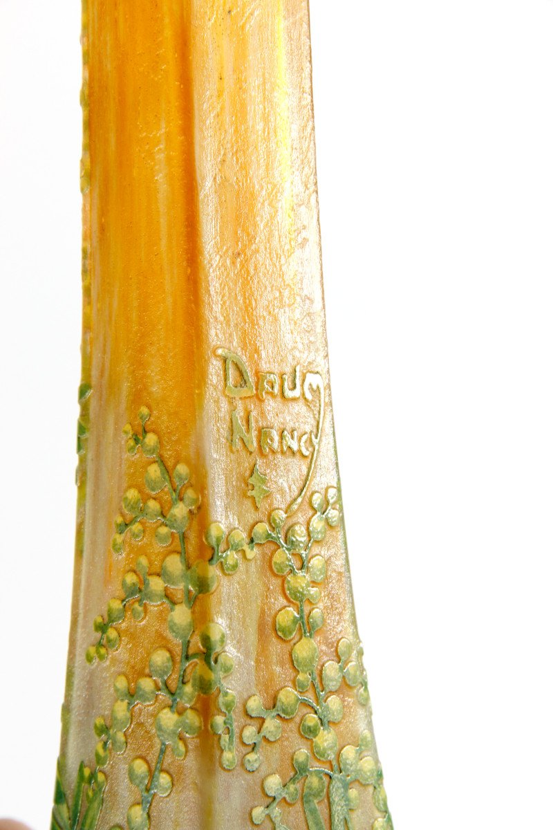 Daum Nancy Vase (mimosa)-photo-3