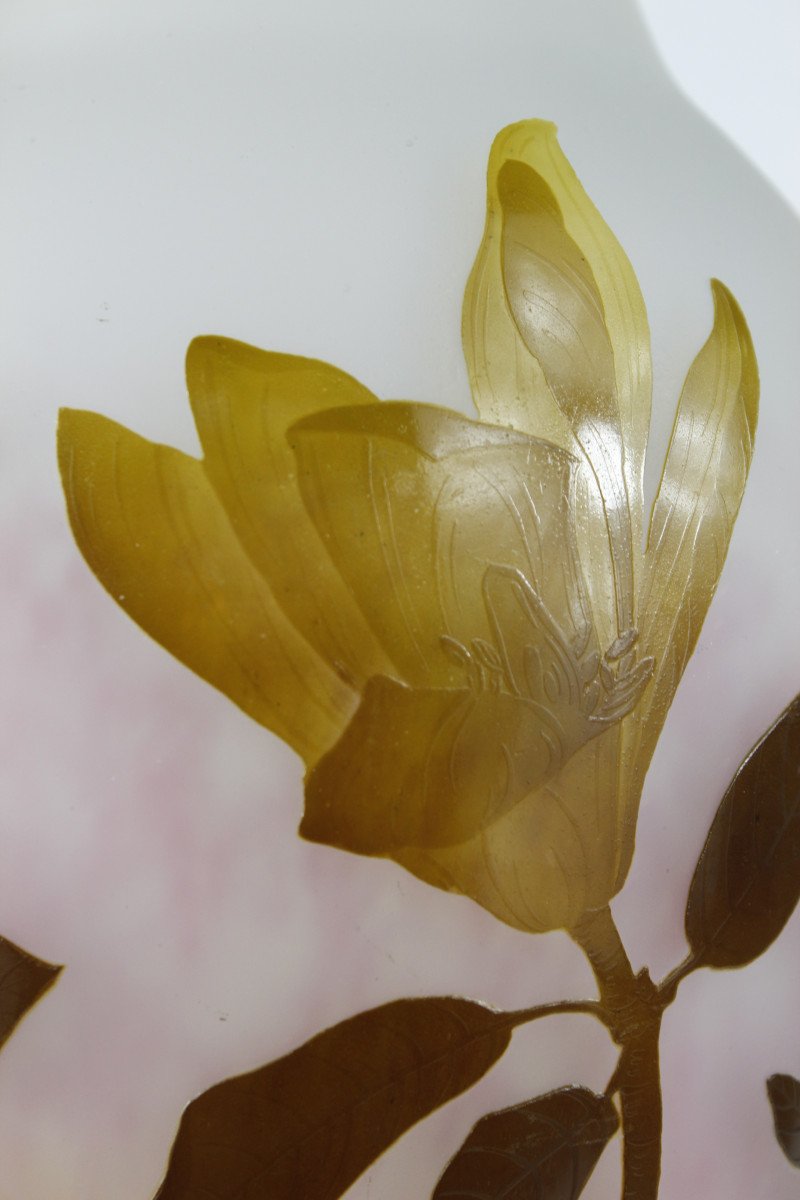 Daum Nancy Vase (magnolias)-photo-4