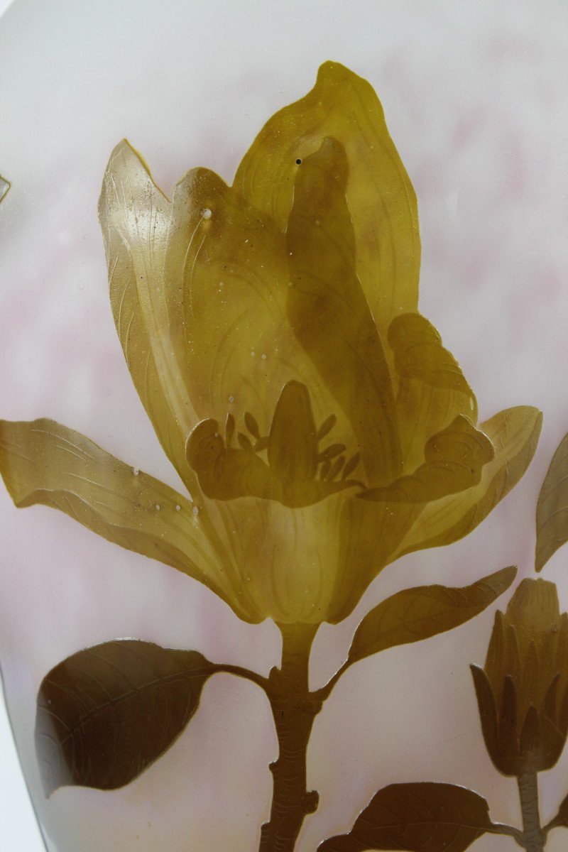 Daum Nancy Vase (magnolias)-photo-5