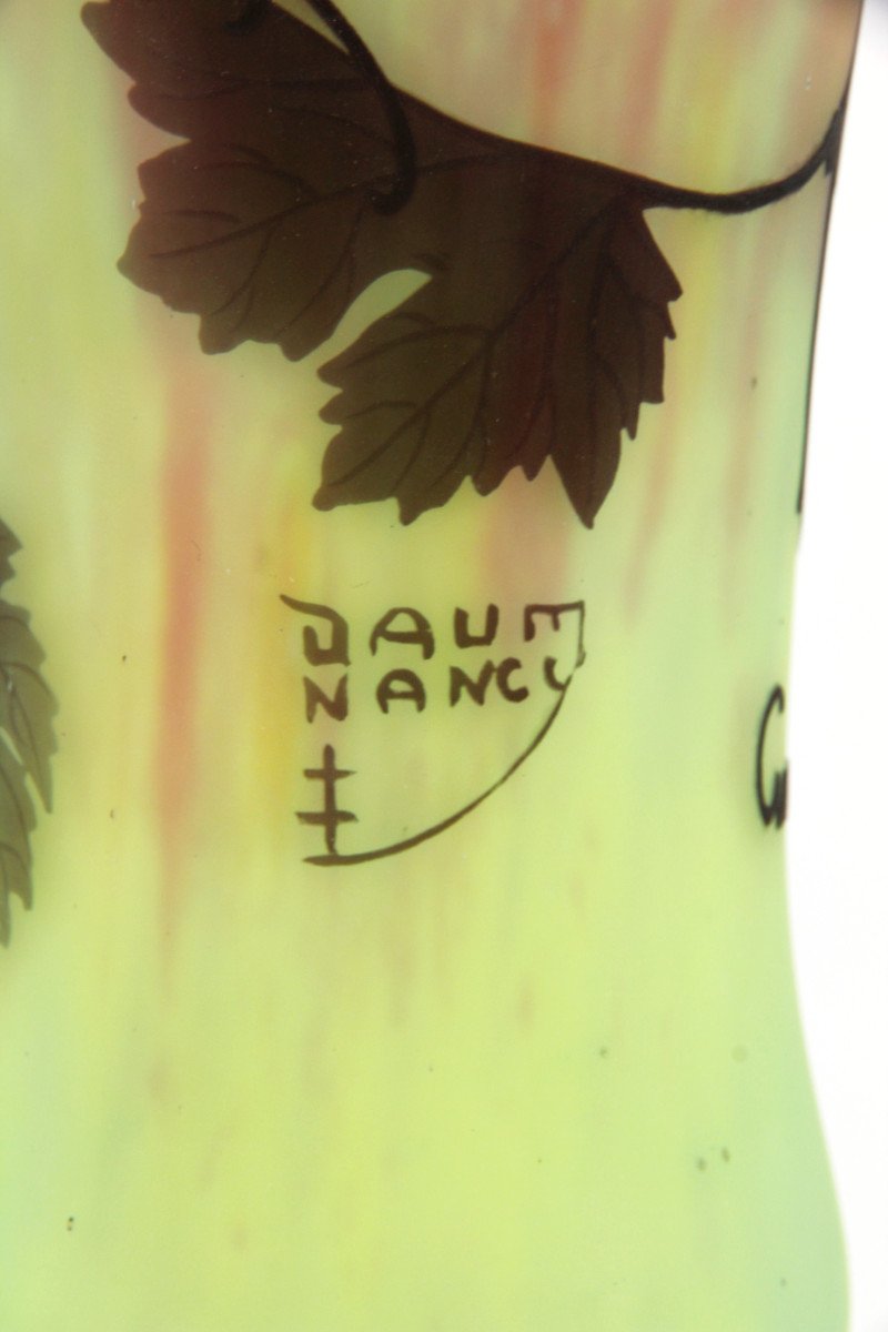 Vase Daum Nancy (vigne)-photo-3