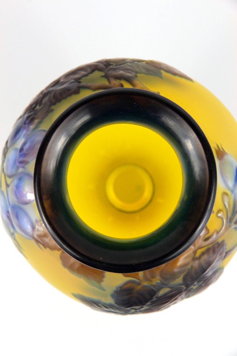 Vase Gallé (églantier en relief)-photo-3